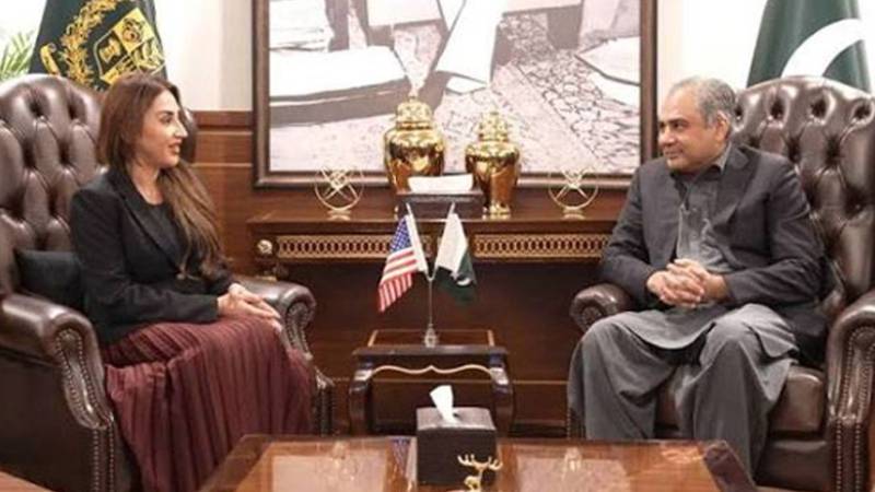 محسن نقوی سے امریکی سفیر نیٹلی بیکر کی ملاقات، پاک امریکا تعلقات اور سرمایہ کاری پر گفتگو