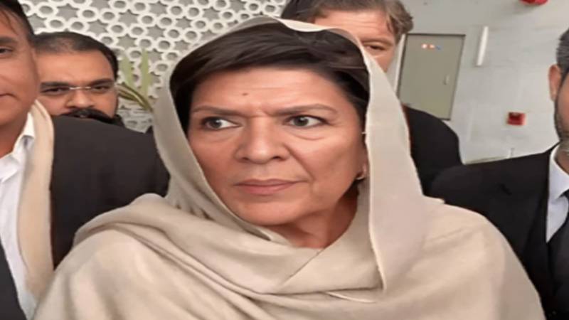 احتجاج کیس میں علیمہ خان کے خلاف فیصلہ مؤخر، جج رخصت پر روانہ