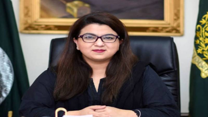 پاکستان کی آئی ٹی برآمدات میں سالانہ 20 فیصد سے زائد اضافہ ہو رہا ہے: شزہ فاطمہ