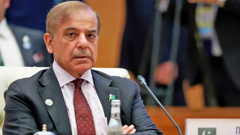 وزیراعظم شہباز شریف کی عالمی سرمایہ کاروں کو پاکستان میں سرمایہ کاری کی دعوت