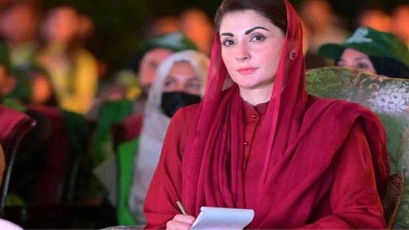 مریم نواز سے نیشنل کمانڈ اتھارٹی کے سینئر لیڈر شپ کورس کے وفد کی ملاقات