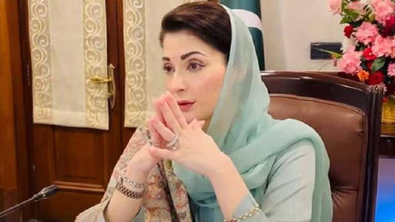 مریم نواز سے اسپین کے سفیر کی ملاقات، تجارتی و ماحولیاتی تعاون بڑھانے پر اتفاق
