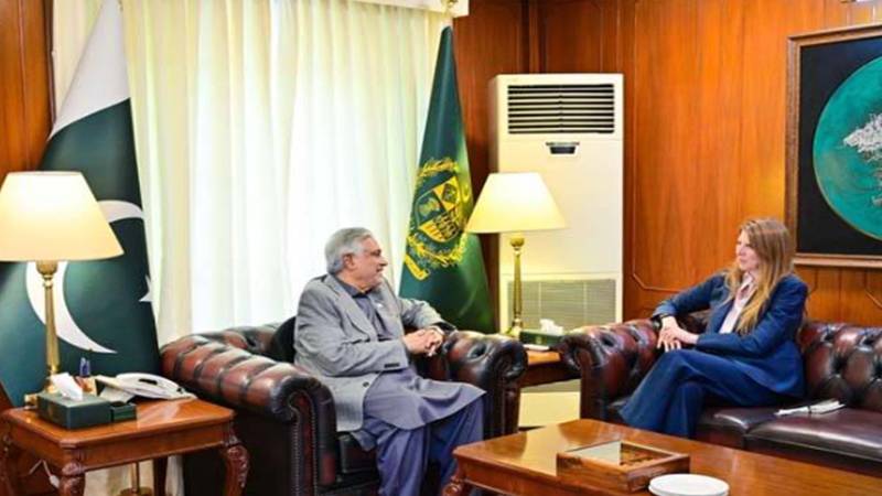 اسحاق ڈار سے برطانوی ہائی کمشنر جین میریٹ کی ملاقات، دوطرفہ تعلقات پر تبادلہ خیال