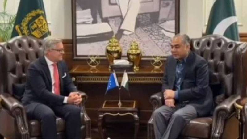 محسن نقوی اور یورپی کمشنر کی ملاقات، غیر قانونی امیگریشن روکنے اور سکیورٹی تعاون بڑھانے پر اتفاق