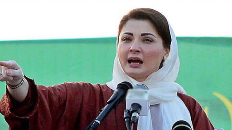 پہلا لانگ مارچ ہے جو اپنی ہی حکومت کےخاتمے پر ختم ہوا:وزیراعلیٰ پنجاب