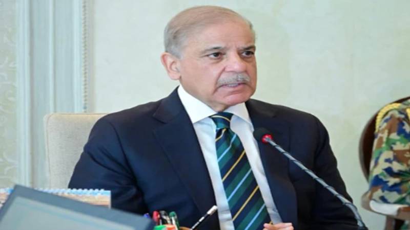 وزیراعظم شہباز شریف کا آج ساہیوال اور چیچہ وطنی کا دورہ متوقع